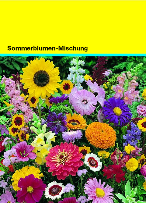 Samentütchen bunte Blumenmischung 82 x 114 mm