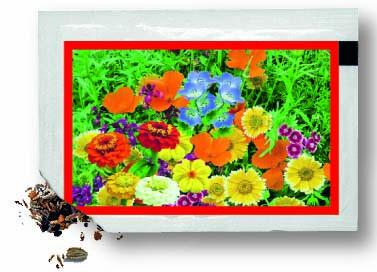 Samentütchen bunte Blumenmischung 80 x 55 mm