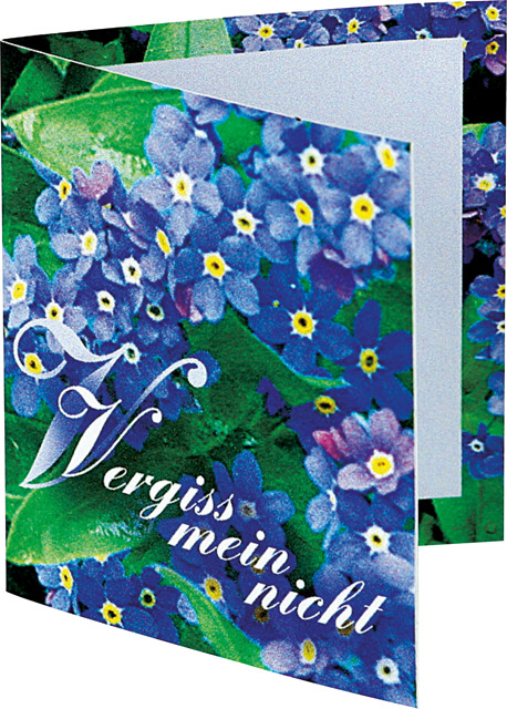 Klappkärtchen Vergiss-mein-nicht