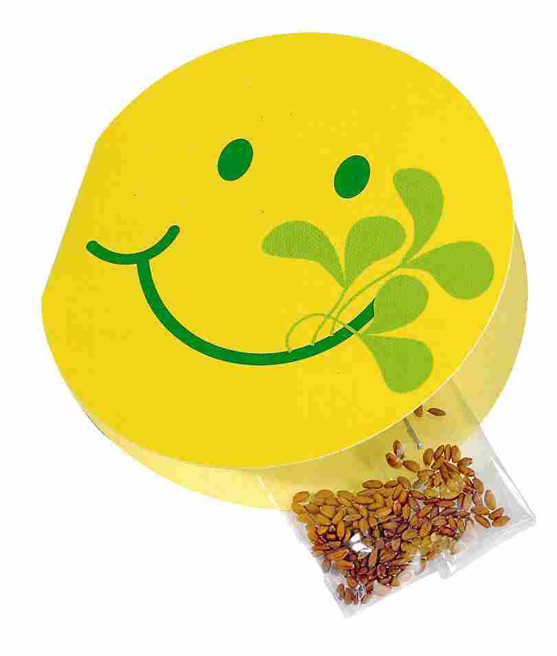 Klappkärtchen Smile fit