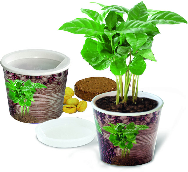 Coffee 2Grow