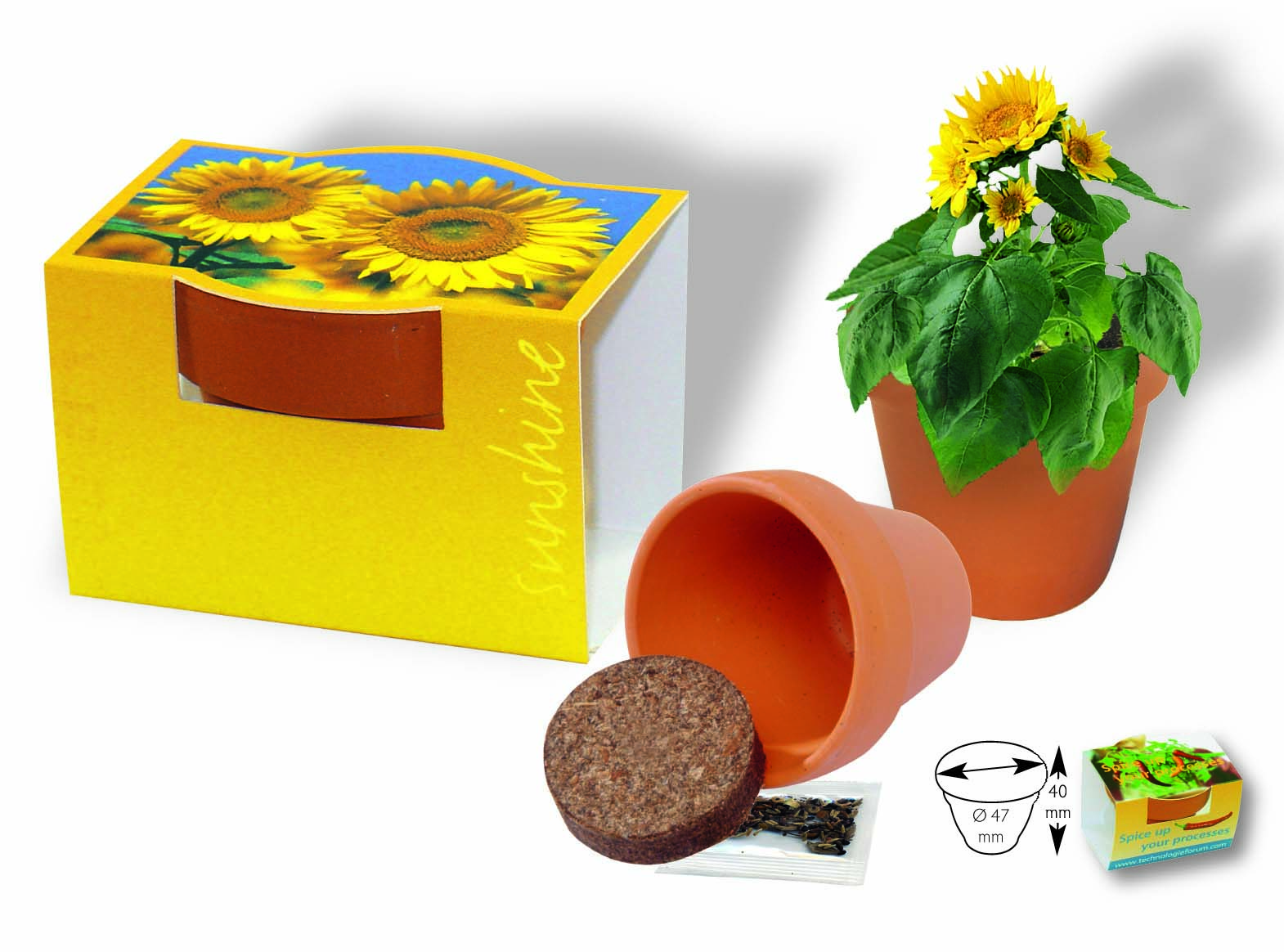 Tontöpfchen Sonne