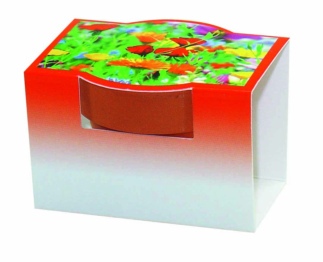 Tontöpfchen Bunte Blumenmischung