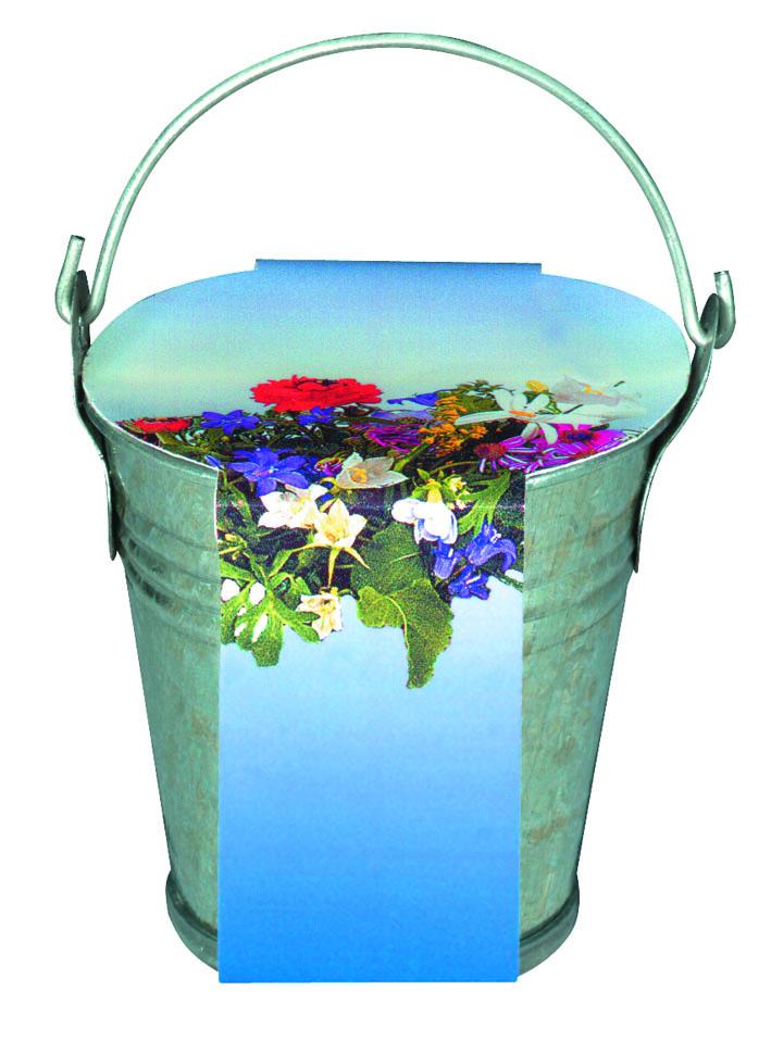 Zinkeimerchen Bunte Blumenmischung