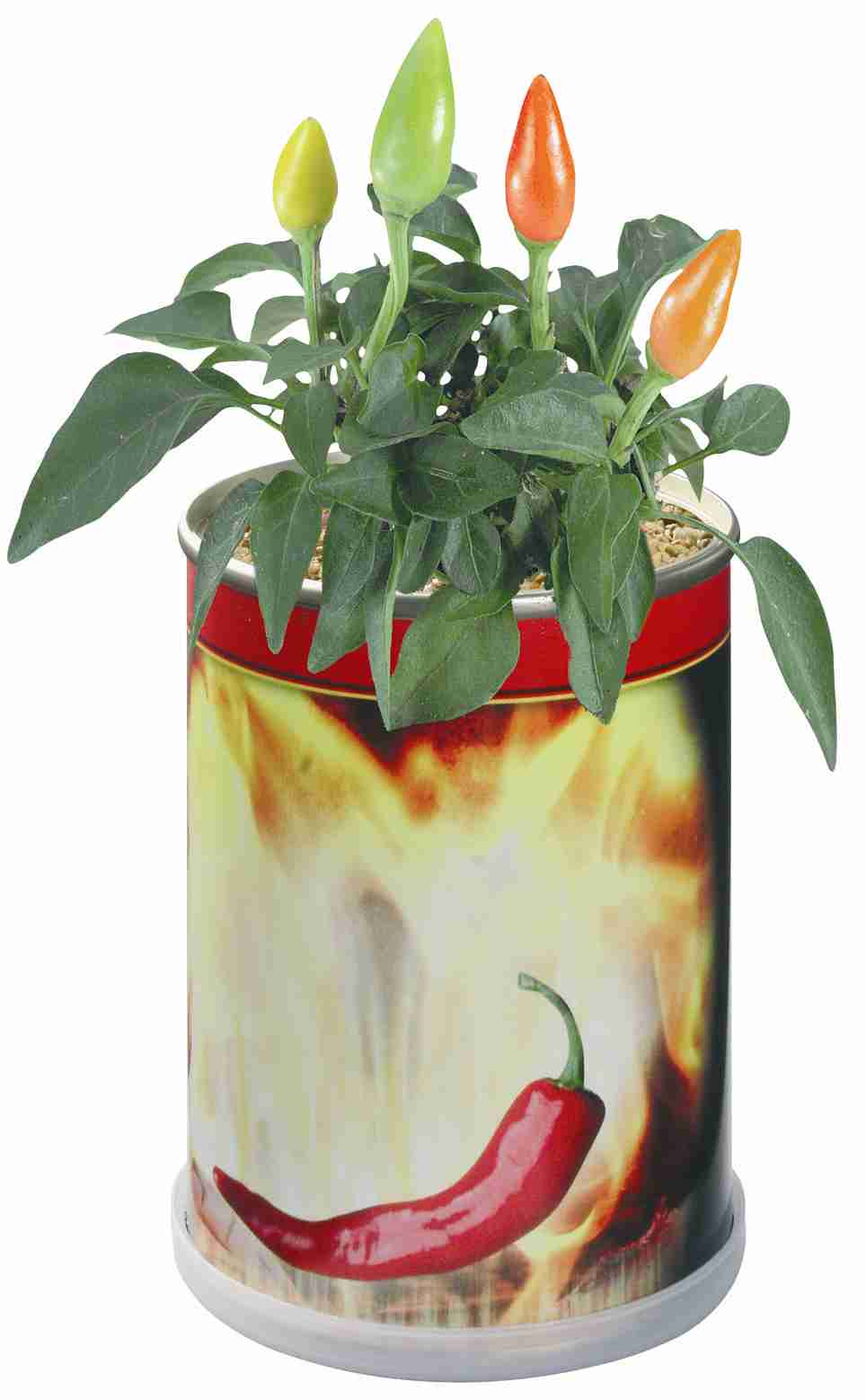 Chilidose Hot