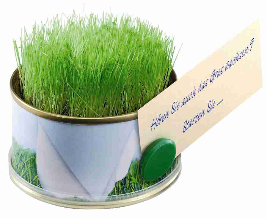 Minigarten Gras mit Magnet