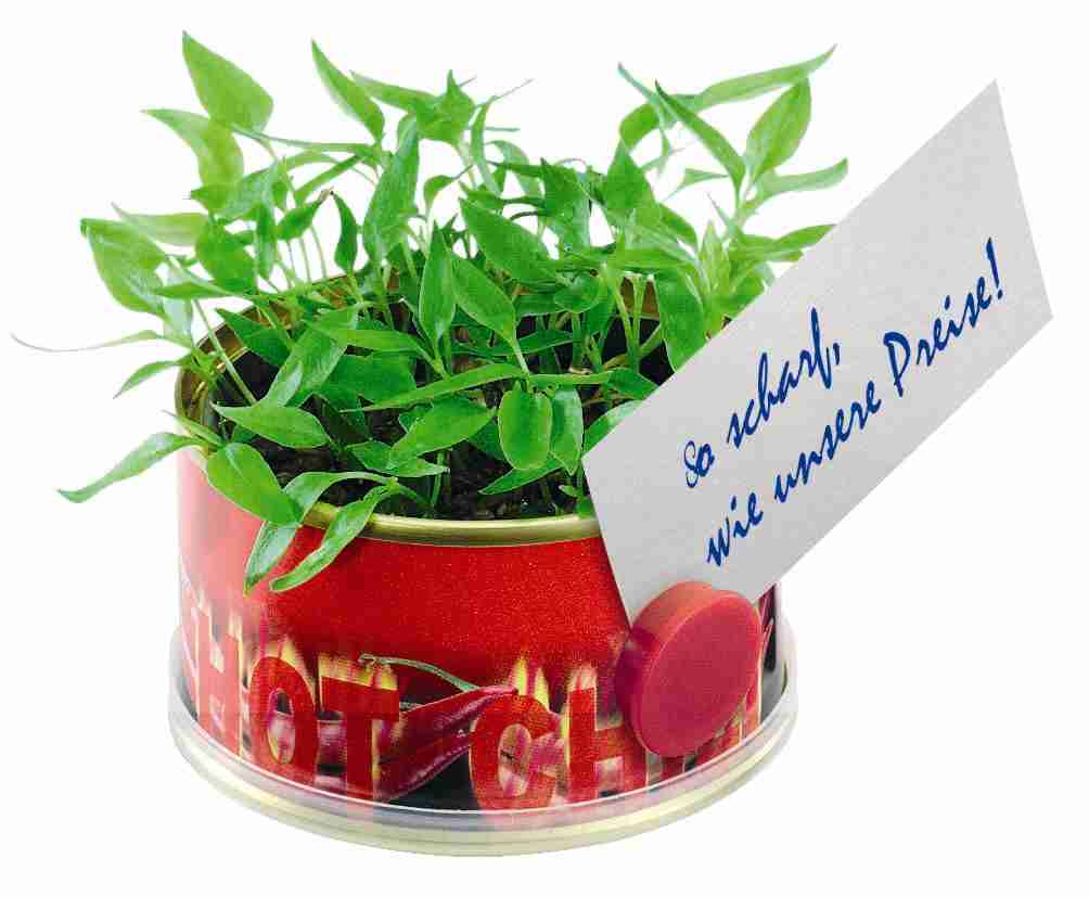 Minigarten Hot mit Magnet