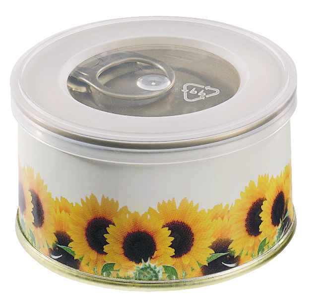 Minigarten Sonne ohne Magnet