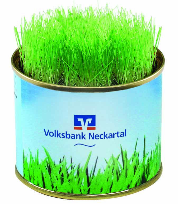 Grüne-Oase-Dose