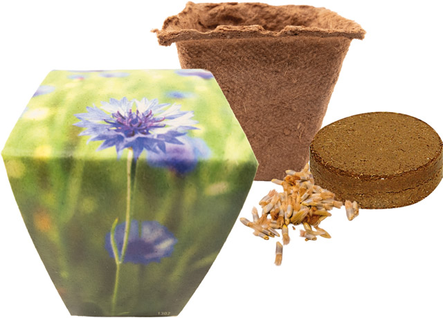 Naturtöpfchen Blue