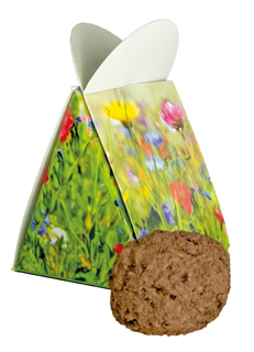 Blumige Überraschung