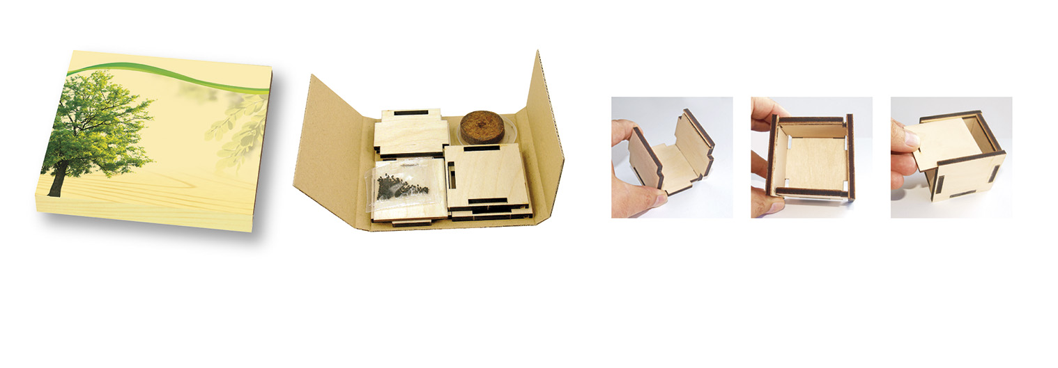 Pflanzsteckbox Natur