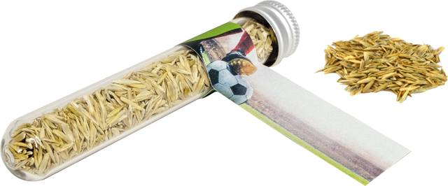 Reagenzglas Sportplatz