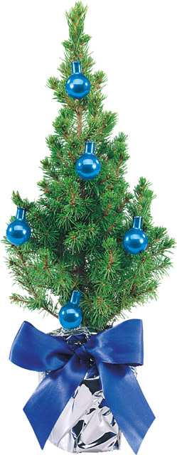 Festliches Bäumchen blau 20-30 cm