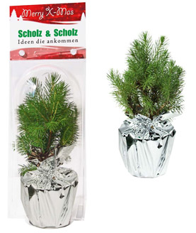 Weihnachtsbäumchen Junior